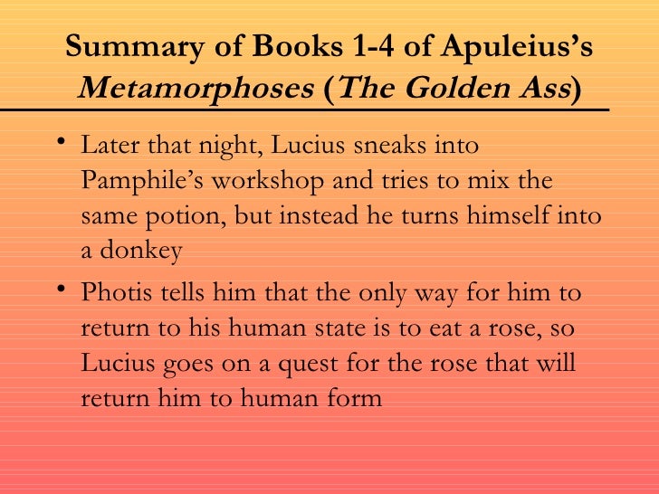 the golden ass by apuleius summary The golden ass by apuleius summary